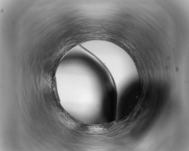 X0000059060380200510101055