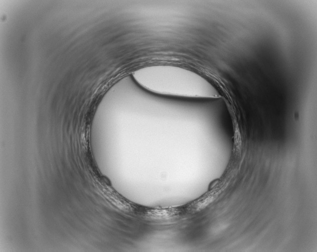 X0000059060381200510101055