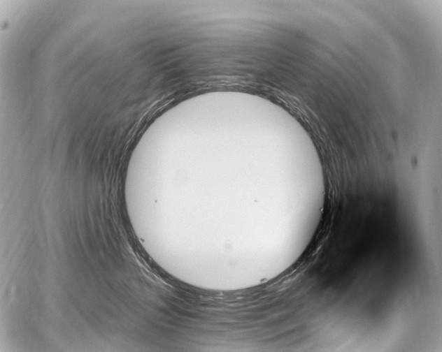 X0000059060383200510101055