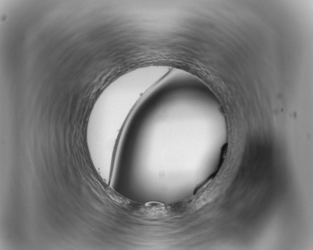 X0000059060384200510101055