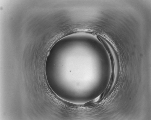 X0000059060385200510101054