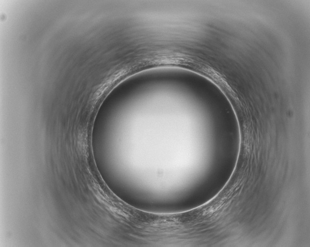 X0000059060386200510101054