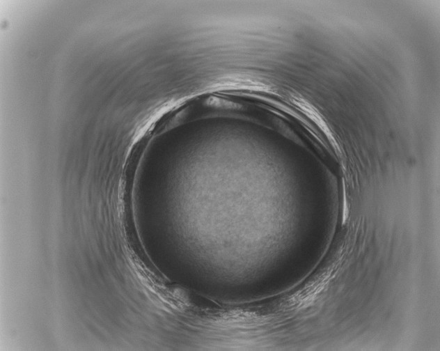 X0000059060387200510101054