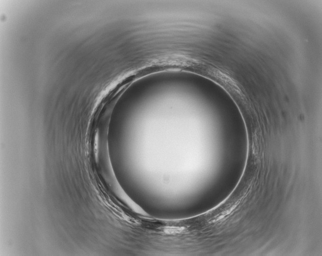 X0000059060388200510101054