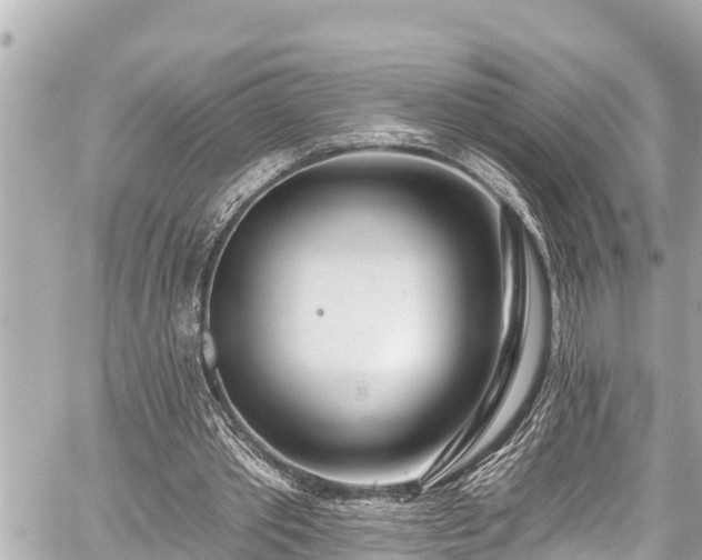 X0000059060389200510101054