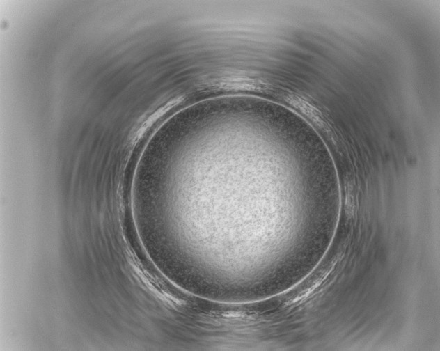 X0000059060390200510101054