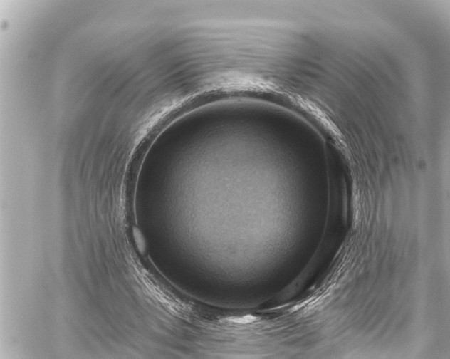 X0000059060391200510101054