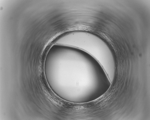 X0000059060392200510101054