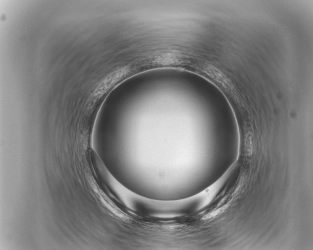 X0000059060393200510101054