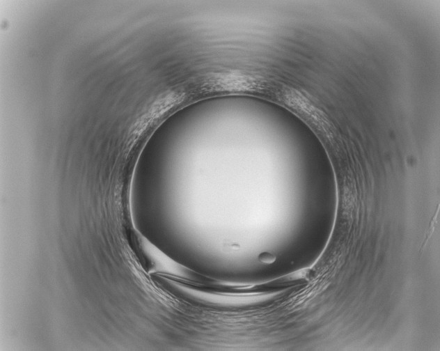 X0000059060394200510101054