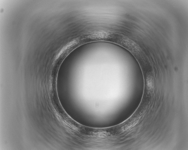 X0000059060396200510101054