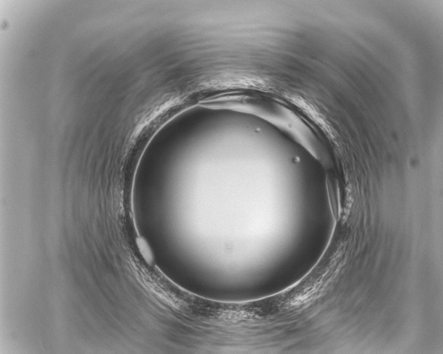 X0000059060399200510101054