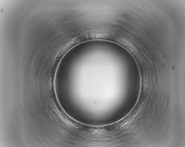 X0000059060401200510101054