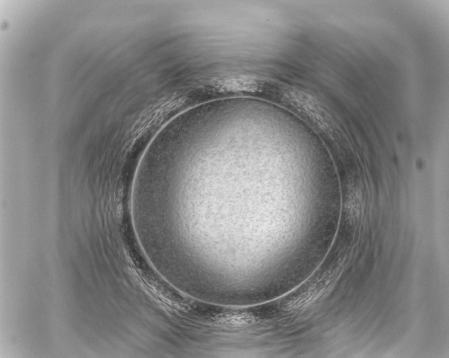 X0000059060402200510101054