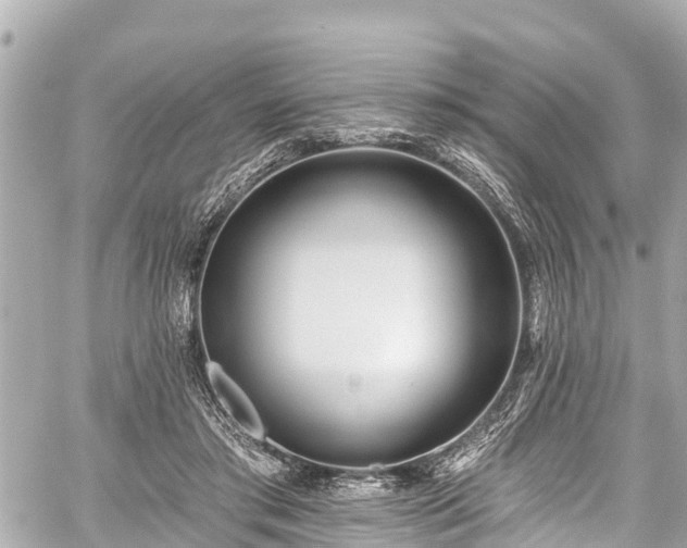 X0000059060405200510101054