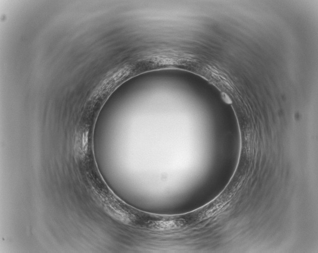 X0000059060406200510101054