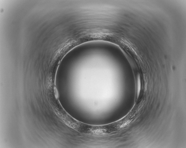 X0000059060407200510101054