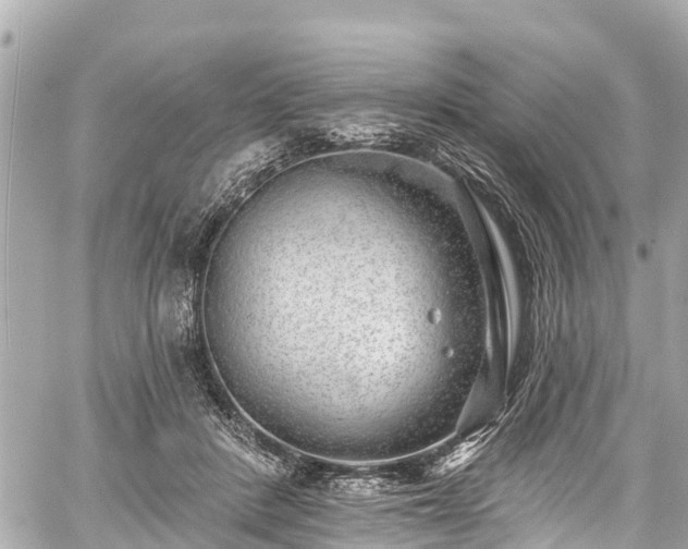 X0000059060408200510101054