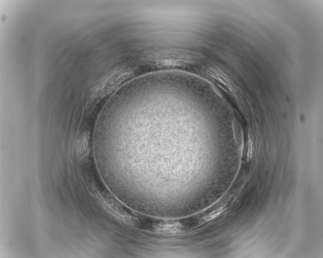 X0000059060410200510101054