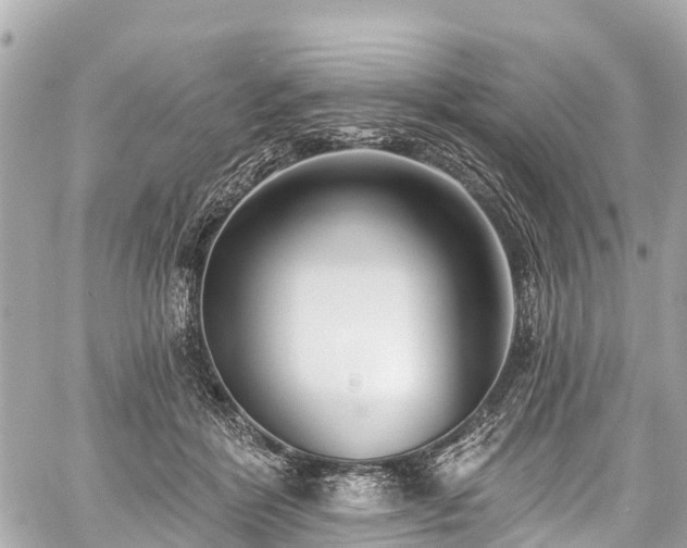 X0000059060412200510101054