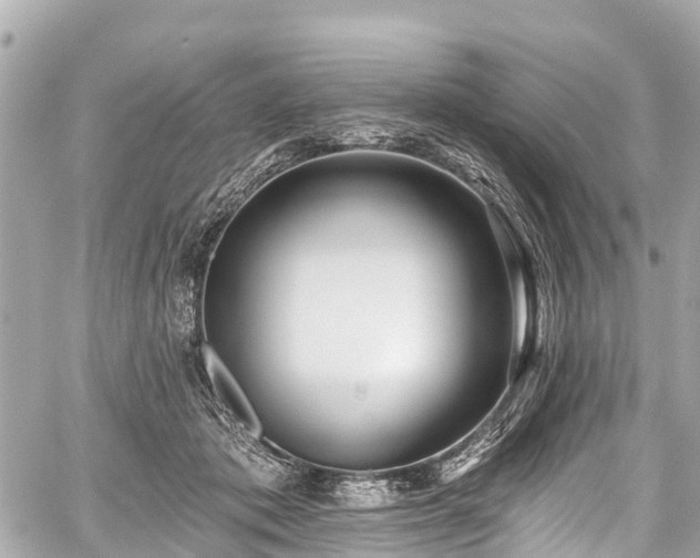 X0000059060413200510101054