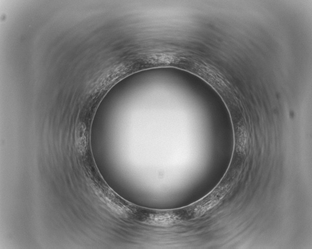 X0000059060414200510101054