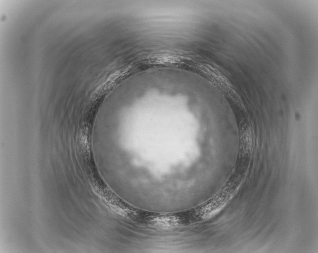 X0000059060415200510101054