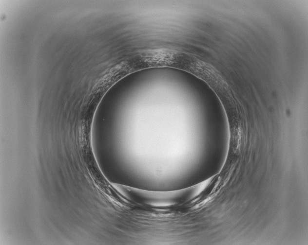 X0000059060416200510101054