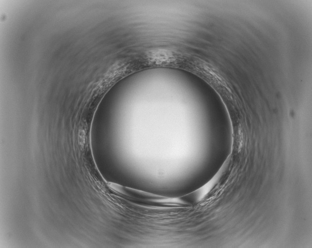 X0000059060417200510101054