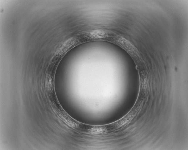 X0000059060418200510101054