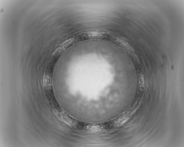 X0000059060419200510101054