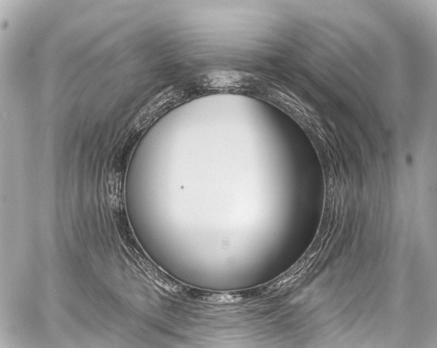 X0000059060421200510101054