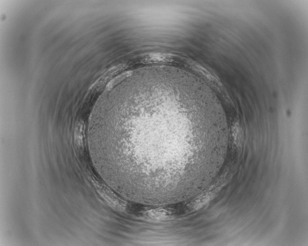 X0000059060423200510101053