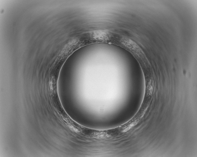 X0000059060424200510101053