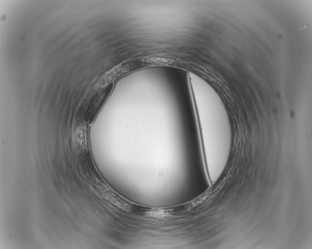 X0000059060425200510101053