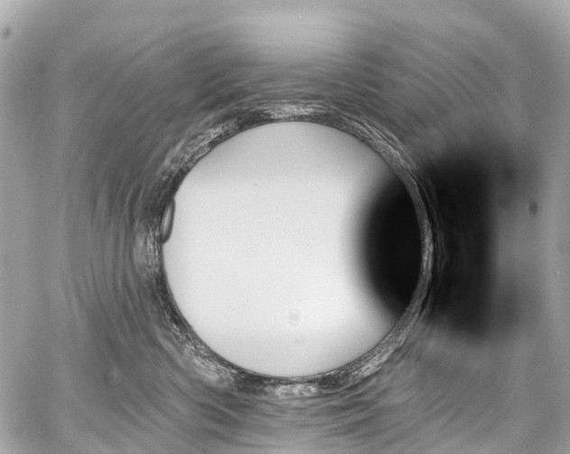 X0000059060426200510101053