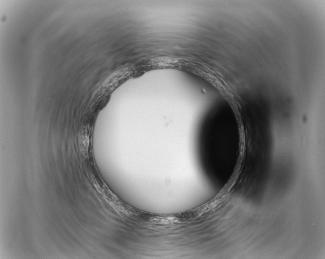 X0000059060427200510101053