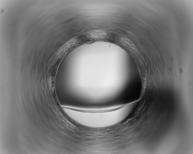 X0000059060428200510101053