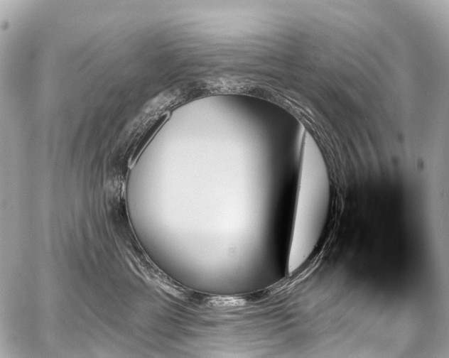 X0000059060429200510101053