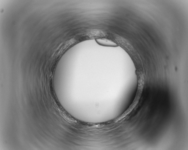 X0000059060430200510101053