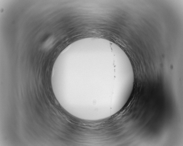 X0000059060431200510101053