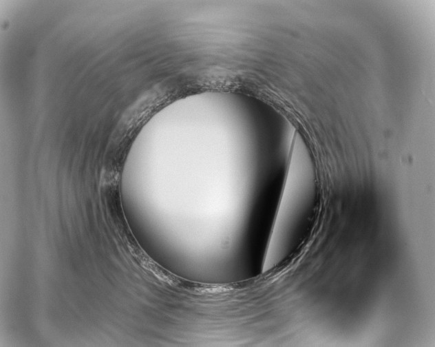 X0000059060432200510101053