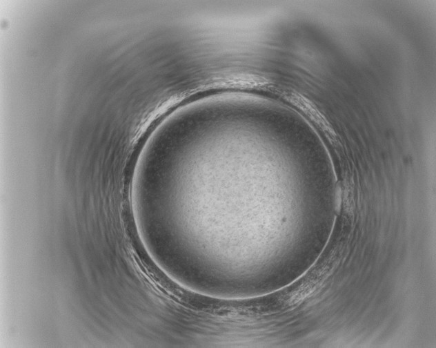 X0000059060434200510101053