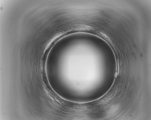 X0000059060435200510101053