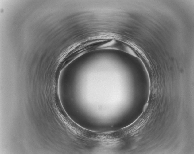 X0000059060437200510101053