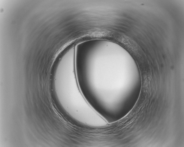 X0000059060440200510101053