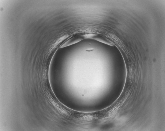 X0000059060441200510101053