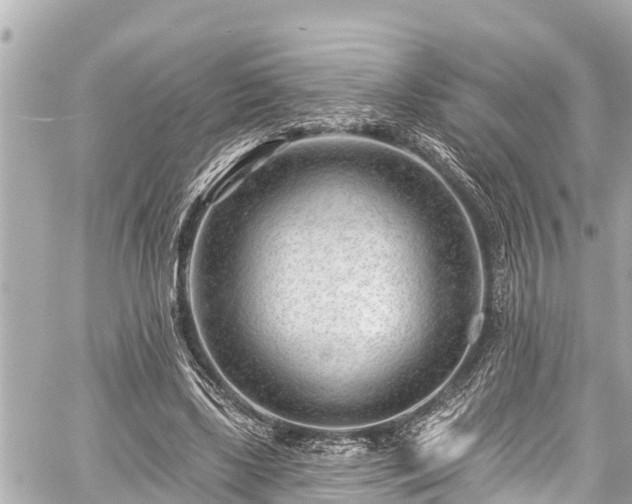 X0000059060443200510101053