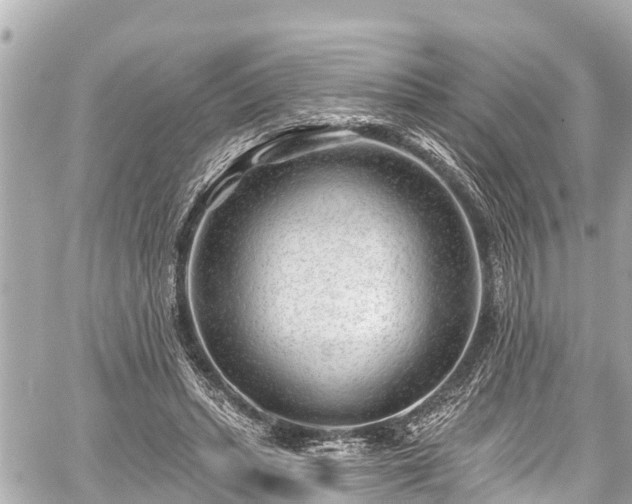 X0000059060447200510101053