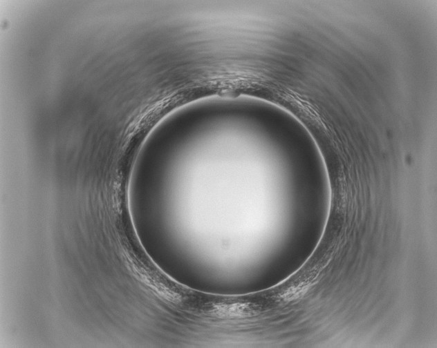 X0000059060450200510101053